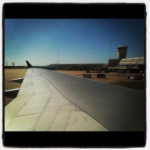 Sitting on the wing